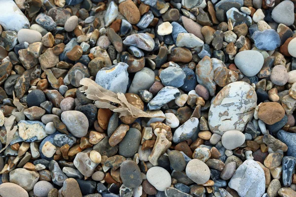 Cailloux sur une plage — Photo