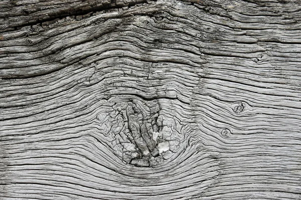 Vecchia trave in legno di tiglio lavato — Foto Stock