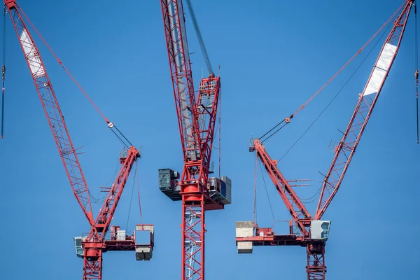 Múltiples grúas torre sobre una estructura de hormigón . — Foto de Stock