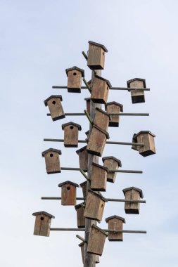 Sınırlı yaşam alanı