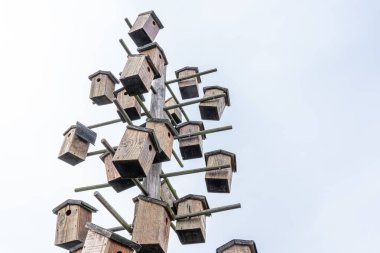 Sınırlı yaşam alanı