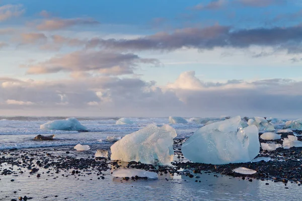 Pedra Gelo Com Areia Preta Praia Diamond Islândia — Fotografia de Stock