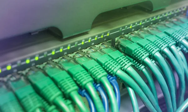 绿色补丁线连接到黑色交换机的互联网电缆 渐变背景 网络理念 — 图库照片