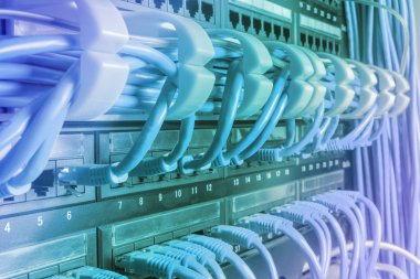 Hafif mavi yama kablosu Internet kablolar siyah anahtara bağlı