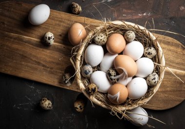 Tavuk beyazı ve kahverengi yumurta ve bıldırcın yumurtası.