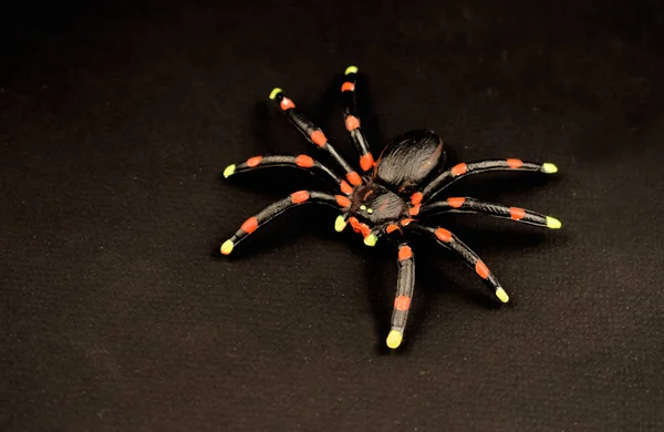 Black spider toy stock images. Rubber spider on a black background. Spider halloween decoration. Glowing spider toy