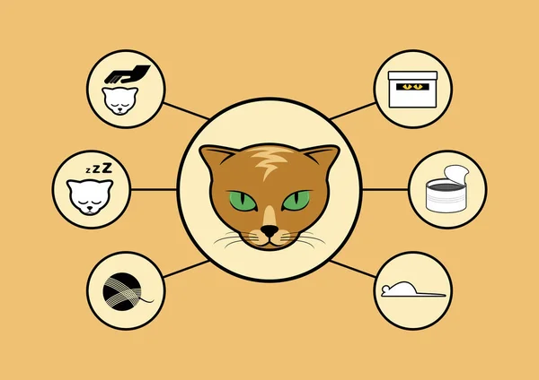 Ilustração Vetorial Infográfica Gato Conjunto Ícones Cat Vetor Vida Gato — Vetor de Stock