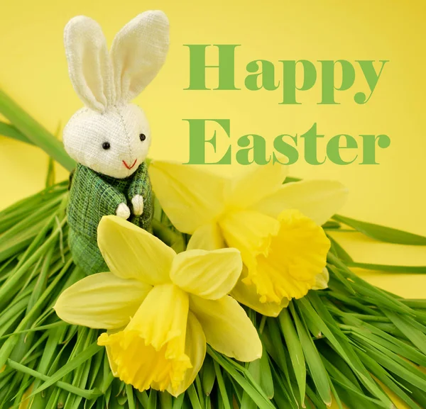 Joyeux Pâques avec lapin et illustration de jonquille — Photo
