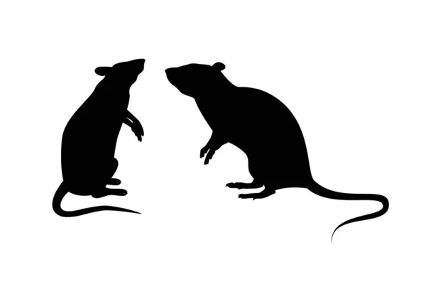 Twee ratten silhouet vector — Stockvector