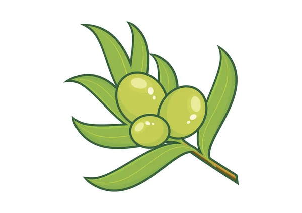 Вектор ветви зеленой оливы — стоковый вектор