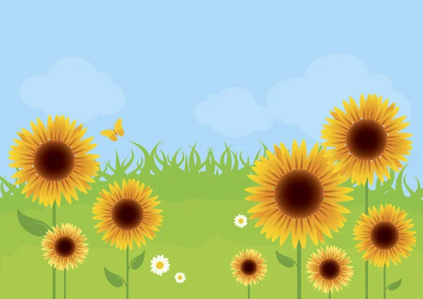 Pradera de girasol en el día soleado vector ilustración — Archivo Imágenes Vectoriales