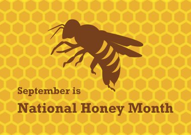 Ulusal Bal Ay vektörü