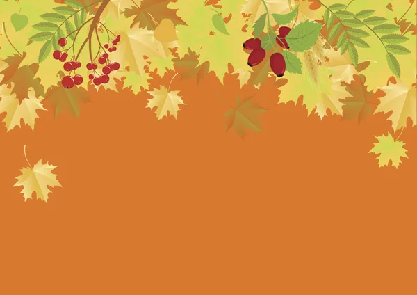 Autumn frame with falling leaves vector — Stock Vector