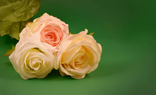 Tres Rosas Blancas Imágenes Stock Rosas Blancas Sobre Fondo Verde —  Fotos de Stock
