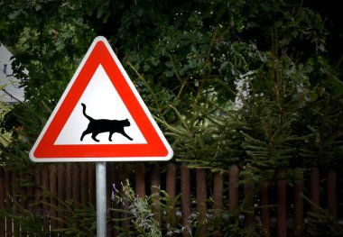 Kırmızı üçgen yol işareti kedileri uyarıyor. Kedi çapraz uyarı tabelası fotoğrafı. Kedi uyarısı yol işareti resimleri