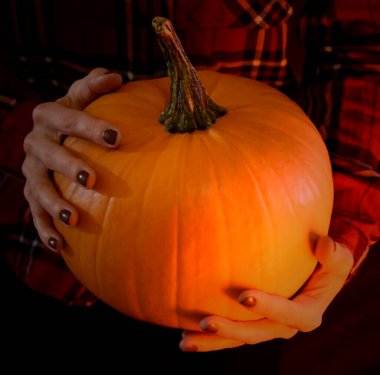 Karanlık arka plan görüntülerinde portakal rengi Cadılar Bayramı kabağı tutan eller. Ellerinde güzel bir balkabağı tutan bir kadın. Sonbahar dekorasyon resimleri