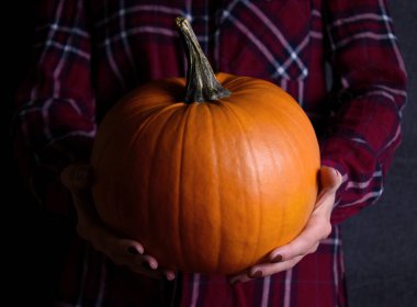 Karanlık arka plan görüntülerinde portakal rengi Cadılar Bayramı kabağı tutan eller. Ellerinde güzel bir balkabağı tutan bir kadın. Sonbahar dekorasyon resimleri