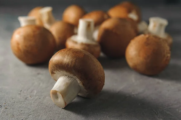 Champignons Royal Šedém Pozadí Fotografie Potravinového Makra Stock Snímky