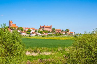 Germen kalede: malbork, Polonya