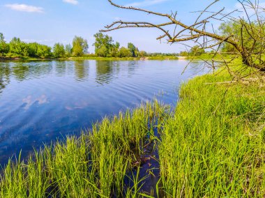 Güzel göl kıyısında Polonya.