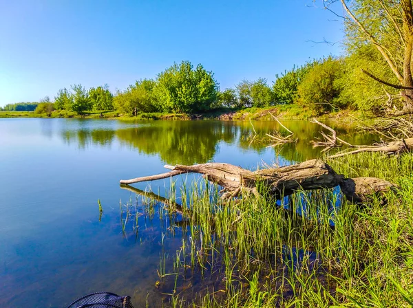 Bela Costa Lago Polônia — Fotografia de Stock