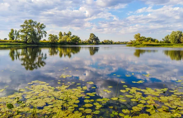 Belle Côte Lac Pologne — Photo