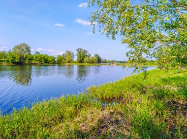 Yaz aylarında, göl kıyılarının doğal görünümü