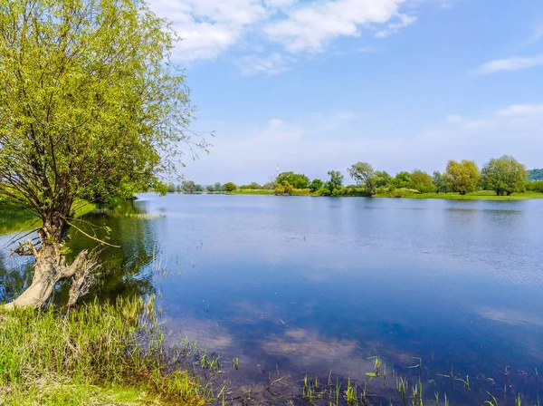 Vista Panorâmica Costa Lago Verão — Fotografia de Stock