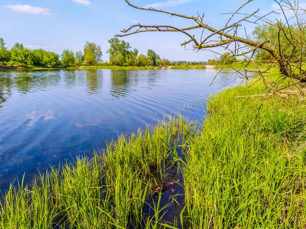 Yaz aylarında, göl kıyılarının doğal görünümü