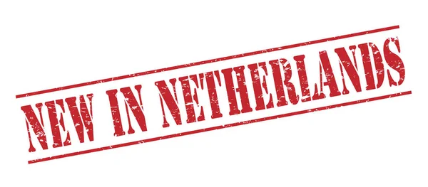Nieuw Nederland Rode Stempel Geïsoleerd Witte Achtergrond — Stockfoto