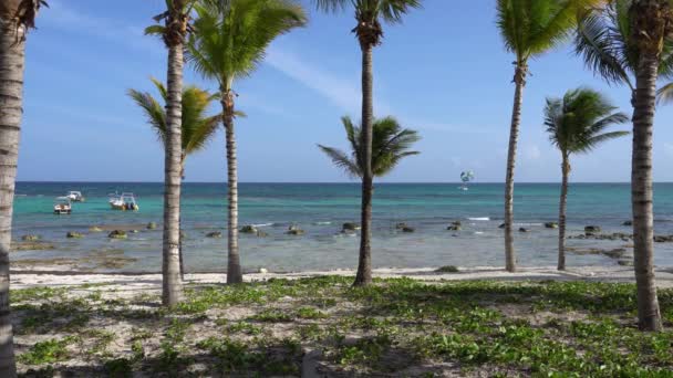 Pohled na tropické pláži prostřednictvím kokosových palem. Turisté jezdí parasailing člun s padákem. Tyrkysové vody Karibského moře. Riviera Maya Mexiko — Stock video