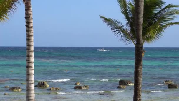 Pohled na tropické pláži prostřednictvím kokosových palem. Turisté jezdí parasailing člun s padákem. Tyrkysové vody Karibského moře. Riviera Maya Mexiko — Stock video