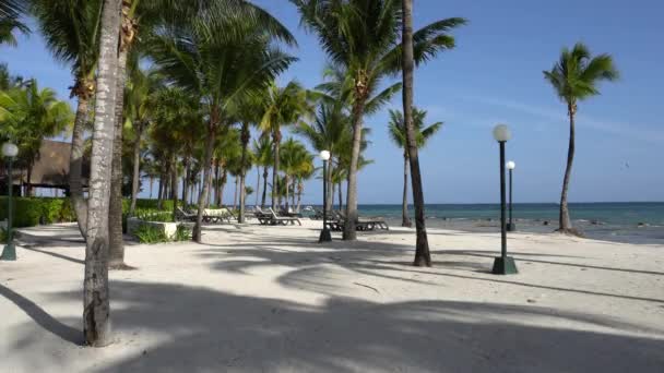 Vista en el hotel resort de lujo playa de costa tropical. Hojas de cocoteros revoloteando en el viento contra el cielo azul. Agua turquesa del Mar Caribe. Riviera Maya México . — Vídeos de Stock