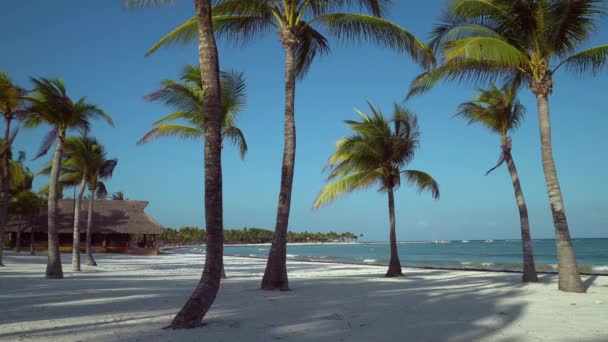 View at luxury resort hotel beach of tropical coast. Leaves of coconut palms fluttering in wind against blue sky. Turquoise water of Caribbean Sea. Riviera Maya Mexico. — Stock Video
