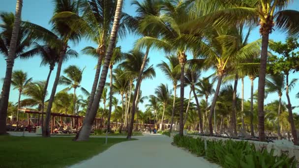 Luxe resort hotel strand van tropische kust bekijken. Bladeren van kokospalmen wapperen in de wind tegen blauwe hemel. Turquoise water van de Caribische zee. Riviera Maya Mexico. — Stockvideo