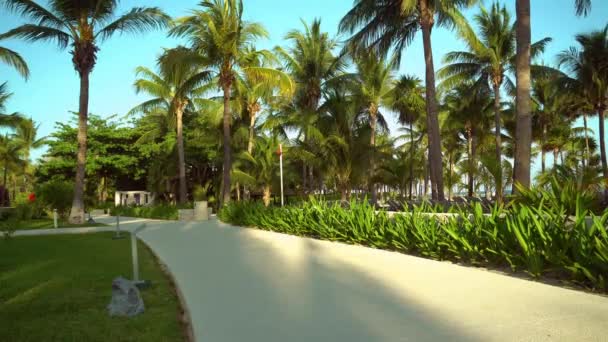 Blick auf den Strand des Luxushotels an der tropischen Küste. Blätter von Kokospalmen flattern im Wind gegen den blauen Himmel. türkisfarbenes Wasser der Karibik. Riviera Maya Mexiko. — Stockvideo