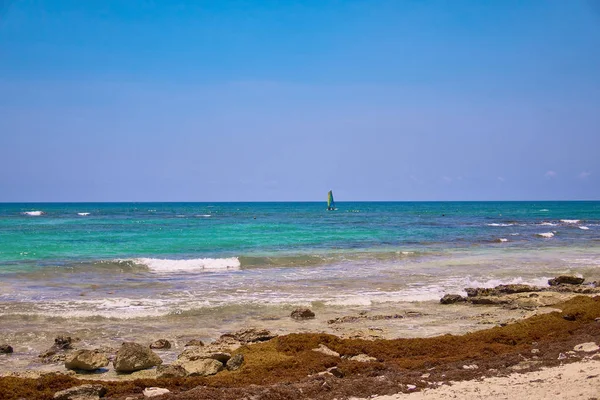 Pohled na tropické pláže. Turisté jezdí parasailing člun s padákem. Vyplutím jachty plachty na vlnách. Tyrkysové vody Karibského moře. Riviera Maya Mexiko — Stock fotografie