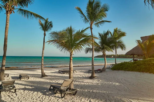 Vista alla spiaggia resort hotel di lusso della costa tropicale. Foglie di palme da cocco svolazzano nel vento contro il cielo blu. Acqua turchese del Mar dei Caraibi. Riviera Maya Messico . Foto Stock Royalty Free