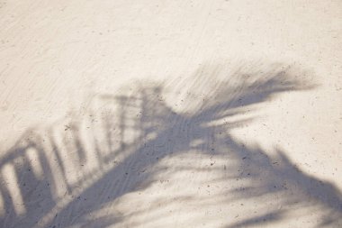Palmiye ağacı yaprakları dokulu Kum Plajı üzerinde çırpınan gölgeler. Karayip Denizi. Riviera Maya Meksika