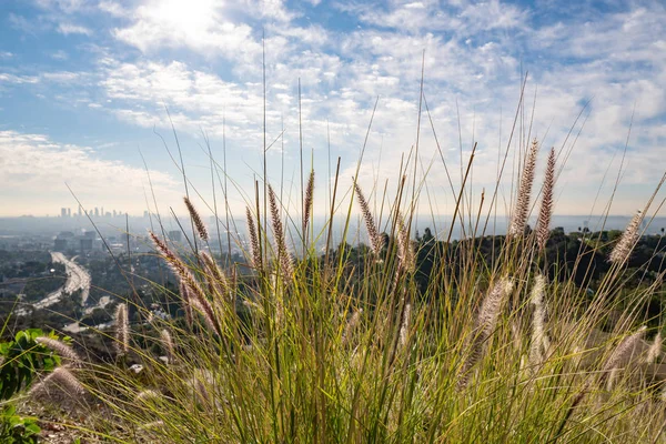 Weergave van Los Angeles van de Hollywood Hills. Down Town La. Hollywood Bowl. Warme zonnige dag. Prachtige wolken in blauwe hemel. 101 snelweg verkeer — Stockfoto