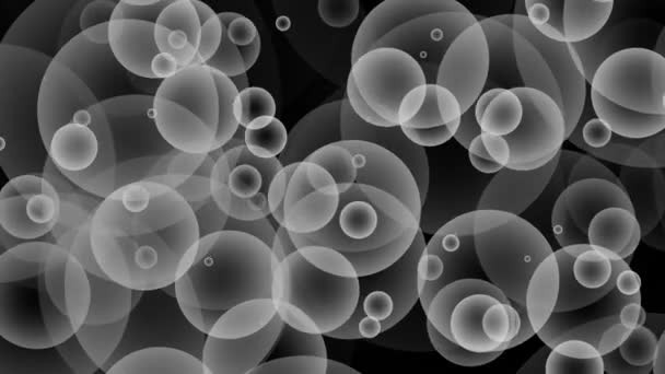 White and Gray seamless rising Bubbles floating and slow moving Loop particle Bubble Animation Black Background. — Stock Video