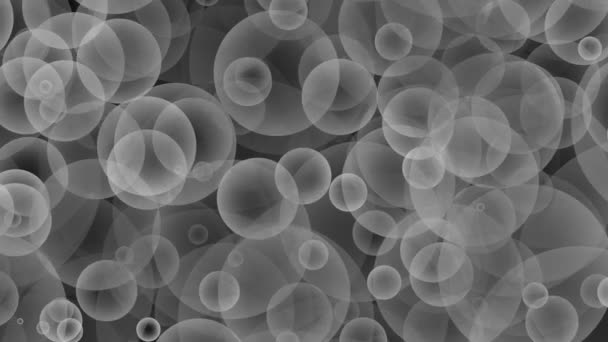 White and Gray seamless rising Bubbles floating and slow moving Loop particle Bubble Animation Black Background. — Stock Video