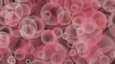 Pembe kırmızı şarap rengi gri sorunsuz düşüyor kayan ve yavaş hareket döngü parçacık kabarcık animasyon siyah arka plan Bubbles.