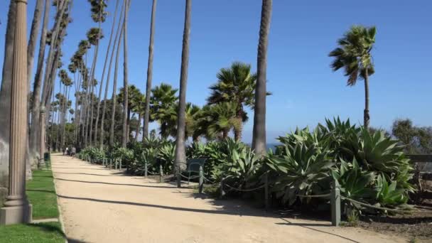 Paseo lateral en un parque cerca de la playa de Santa Mónica. Callejón con palmeras altas californianas en un día soleado. Estados Unidos — Vídeos de Stock