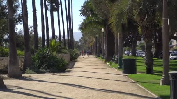 Paseo lateral en un parque cerca de la playa de Santa Mónica. Callejón con palmeras altas californianas en un día soleado. Estados Unidos — Vídeo de stock