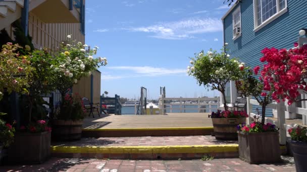Вид на Марину дель Рей из ресторана и магазина. В кадре много ярких тропических цветов. Красочные дома украшают пирс. Лос-Анджелес, Калифорния — стоковое видео