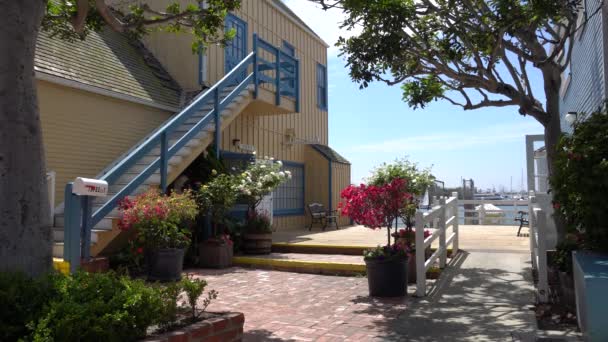 Marina del Rey, Los Angeles, Kalifornie, USA-26. července 2019. Krásný výhled na marinu del Reyovou z restaurace a obchodu. V rámu spousta jasných tropických květin. Pestrobarevné domy. — Stock video