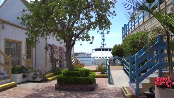 Vacker utsikt över Marina del Rey från restaurang och butik. I ram en hel del ljusa tropiska blommor. Färgglada hus pryder piren. Los Angeles California — Stockvideo