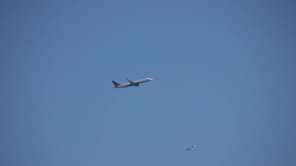 LAX, Los Angeles, California, USA - July 26, 2019. The airbus delta airlines plane flies gaining altitude against the blue sky. Warm Sunny Day in Los Angeles California. — Stock Video