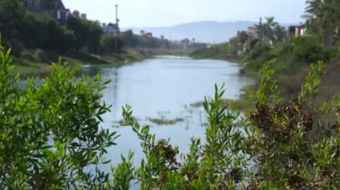 Marina del Rey lagünün güzel manzarası. Okyanus suyu yla kanal. Kıyının her iki tarafında ki özel evler. Los Angeles Kaliforniya'da Sıcak Güneşli Gün.